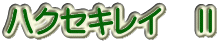 ハクセキレイ　Ⅱ