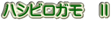 ハシビロガモ　Ⅱ 