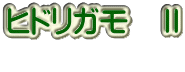 ヒドリガモ　Ⅱ 