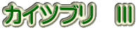 カイツブリ　Ⅲ