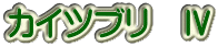 カイツブリ　Ⅳ