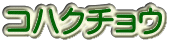 コハクチョウ