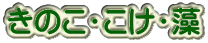 ̂EE